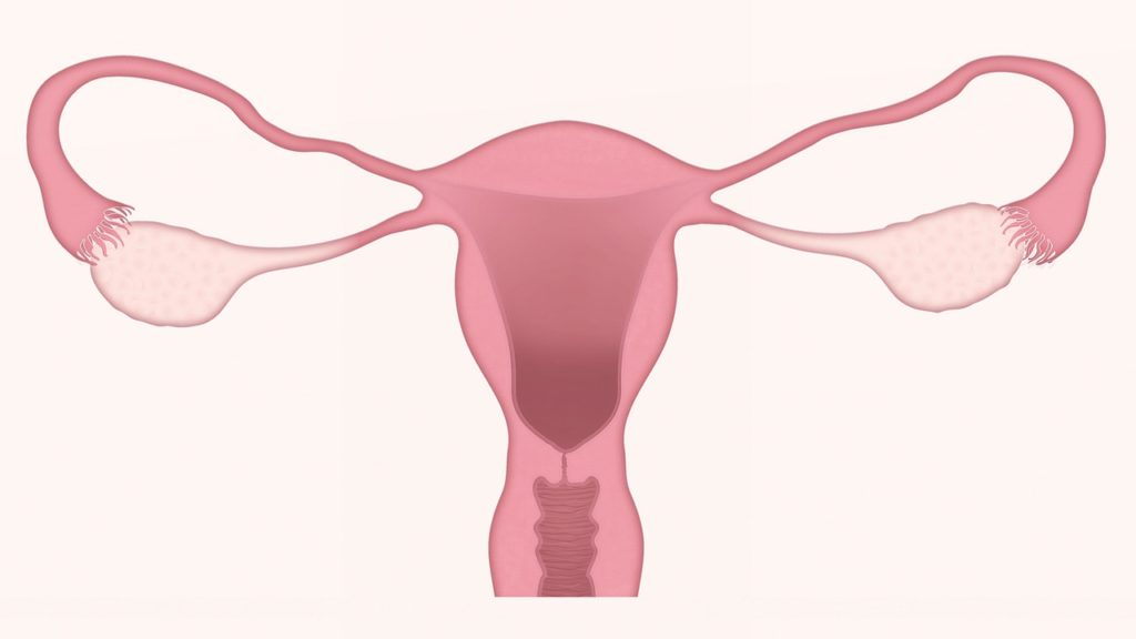 Como vencer al síndrome premenstrual sin esperar a la menopausia